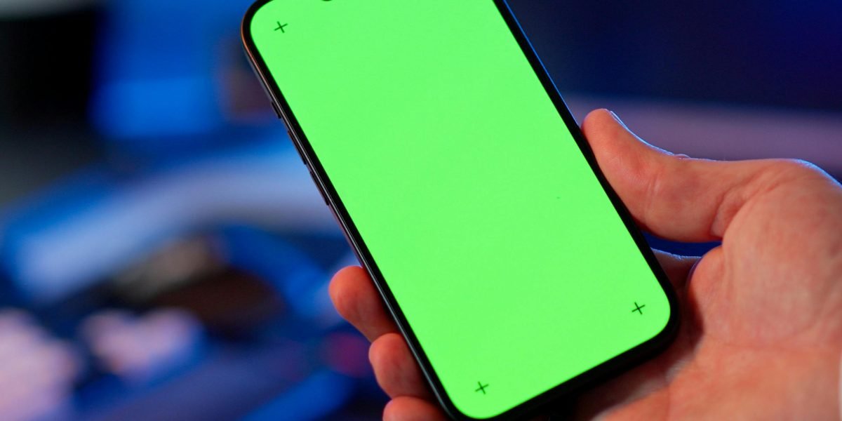 A Plant Identifier App Rebuilds Your Focus and Attention Span