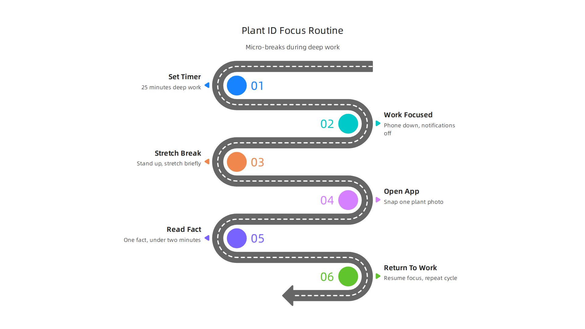 A step-by-step flowchart illustrating a typical focus routine integrating deep work sessions with plant identification micro-breaks.