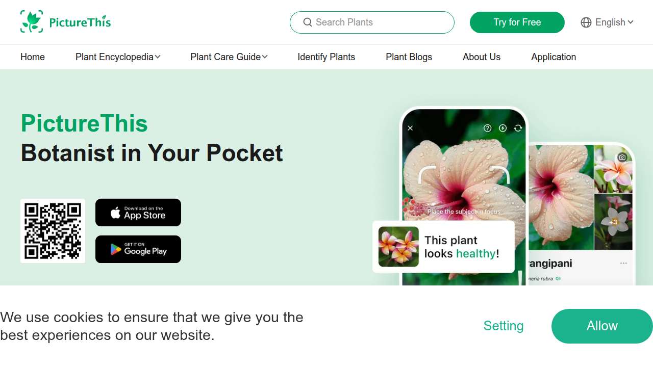 A screenshot of the PictureThis app interface showing a successful plant identification with detailed information.