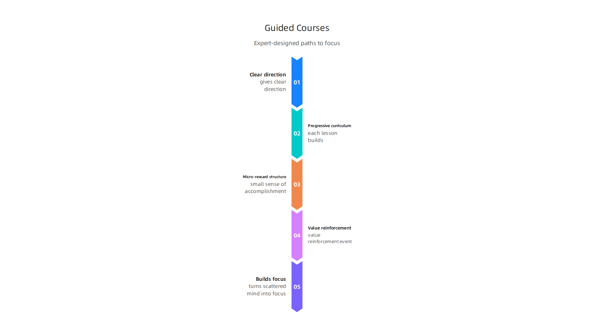 An infographic illustrating the benefits of Insight Timer's guided courses, which provide expert-designed paths to deeper concentration.