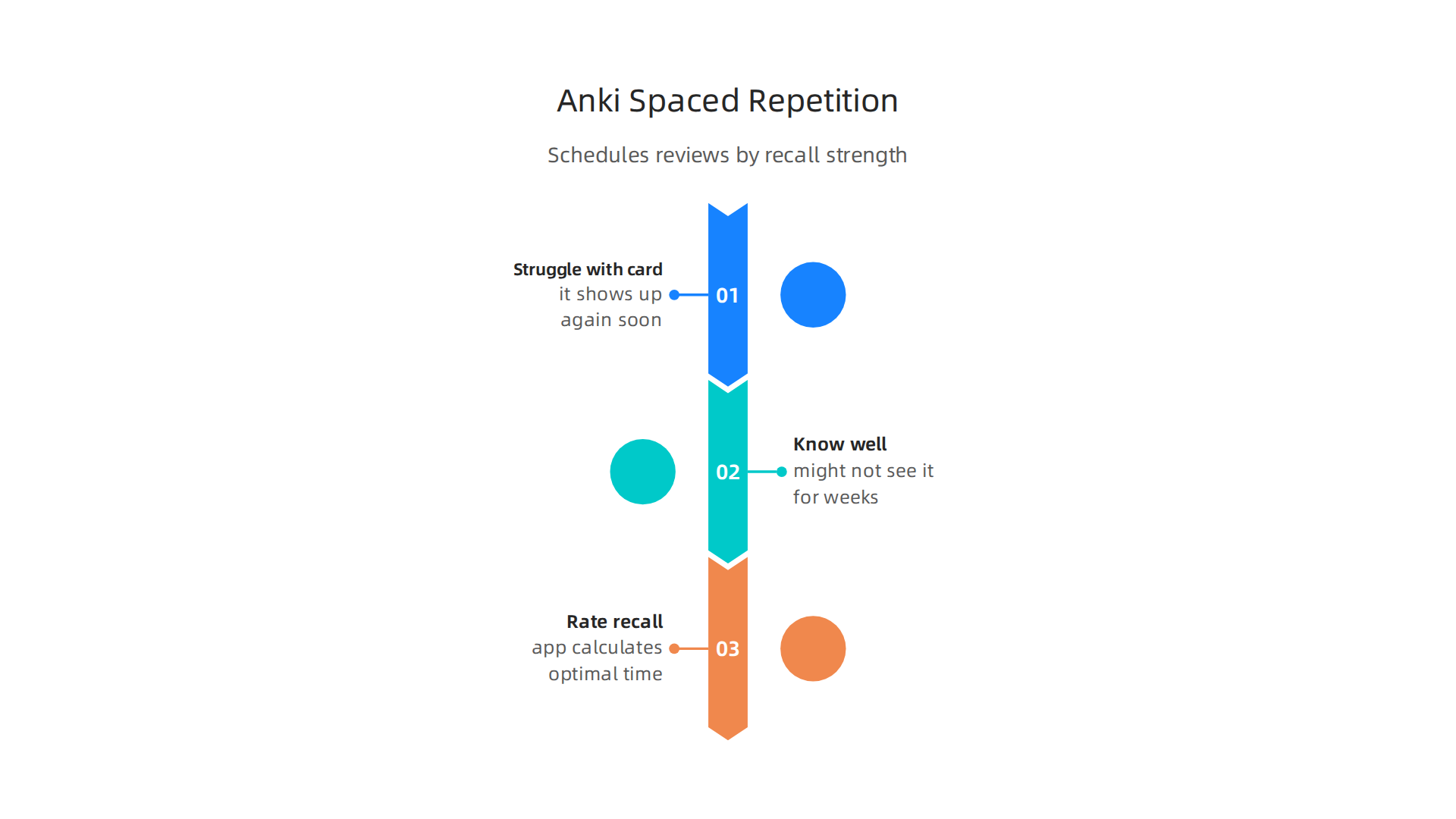 How Anki's intelligent algorithm optimizes learning by scheduling reviews based on recall strength.