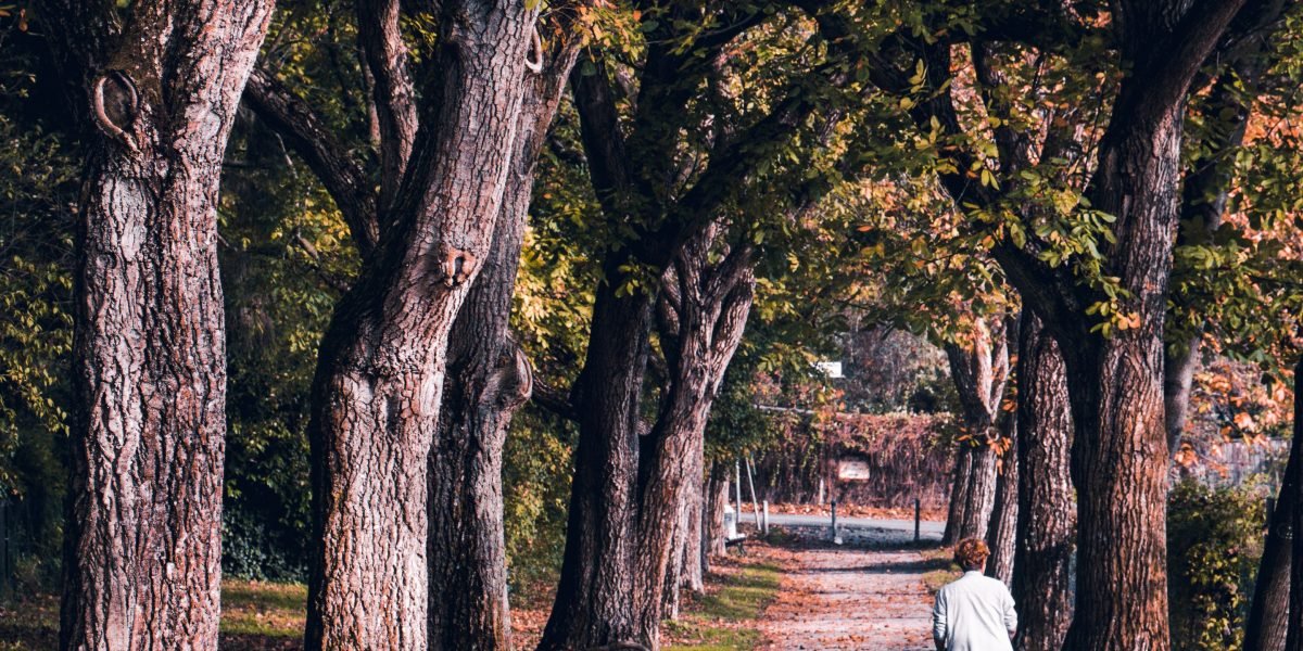 A person enjoying a peaceful walk outdoors, highlighting the benefits of physical activity for mental clarity and focus.