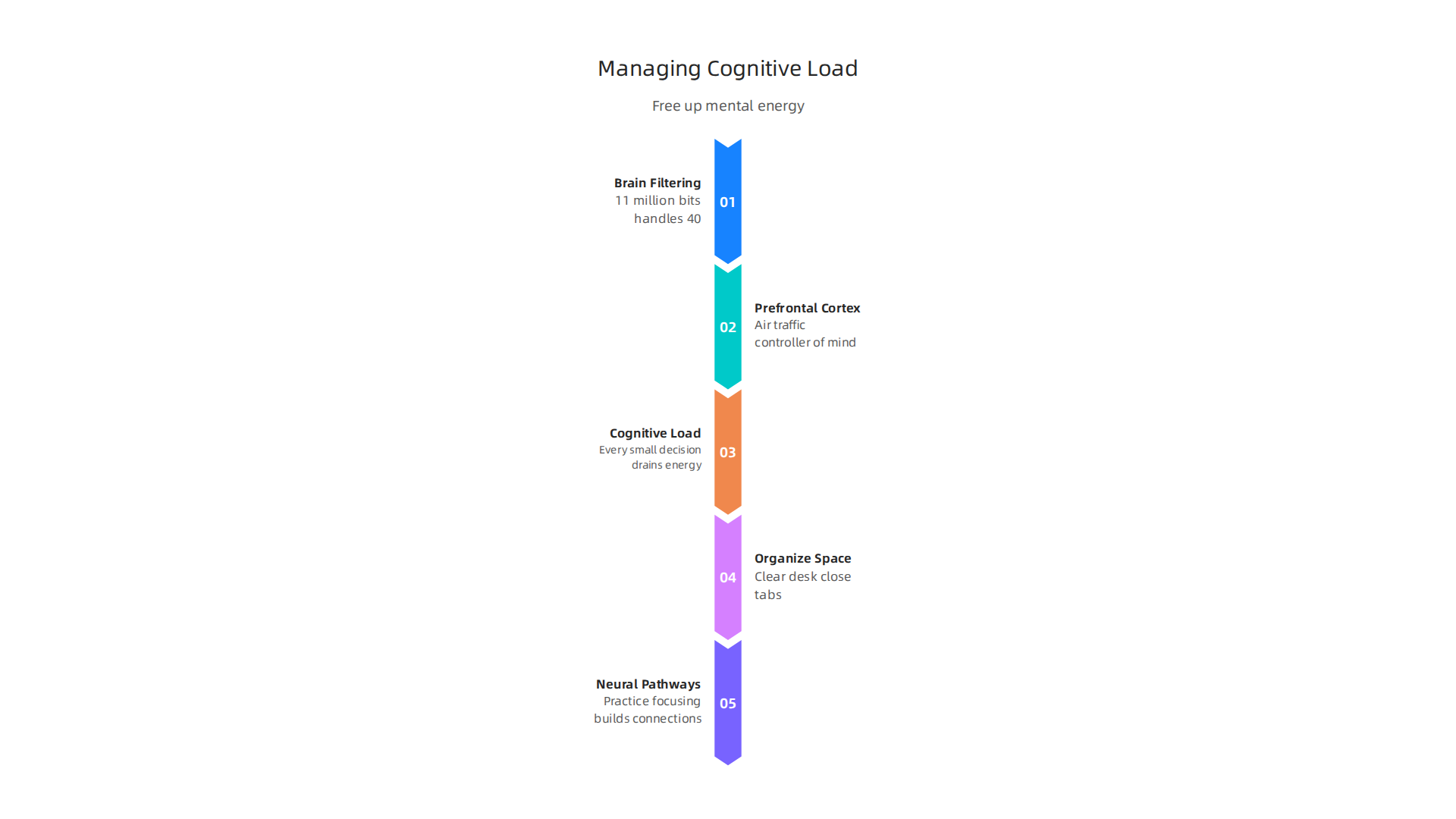 Daniel J. Levitin's insights on managing cognitive load suggest how organizing external and internal environments can free up mental energy for deeper focus.